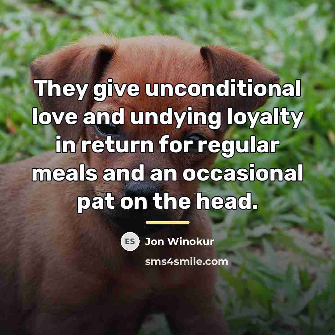 “They give unconditional love and undying loyalty in return for…” quote by Jon Winokur