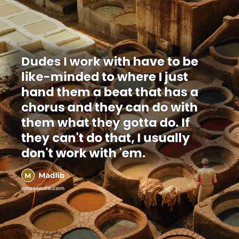 “Dudes I work with have to be like-minded to where…” quote by Madlib