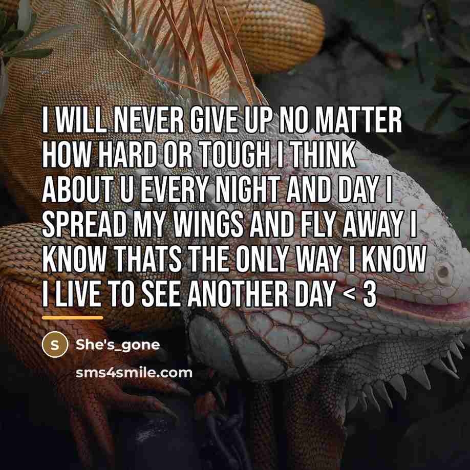 “I will never give up no matter how hard or…” quote by She's_gone