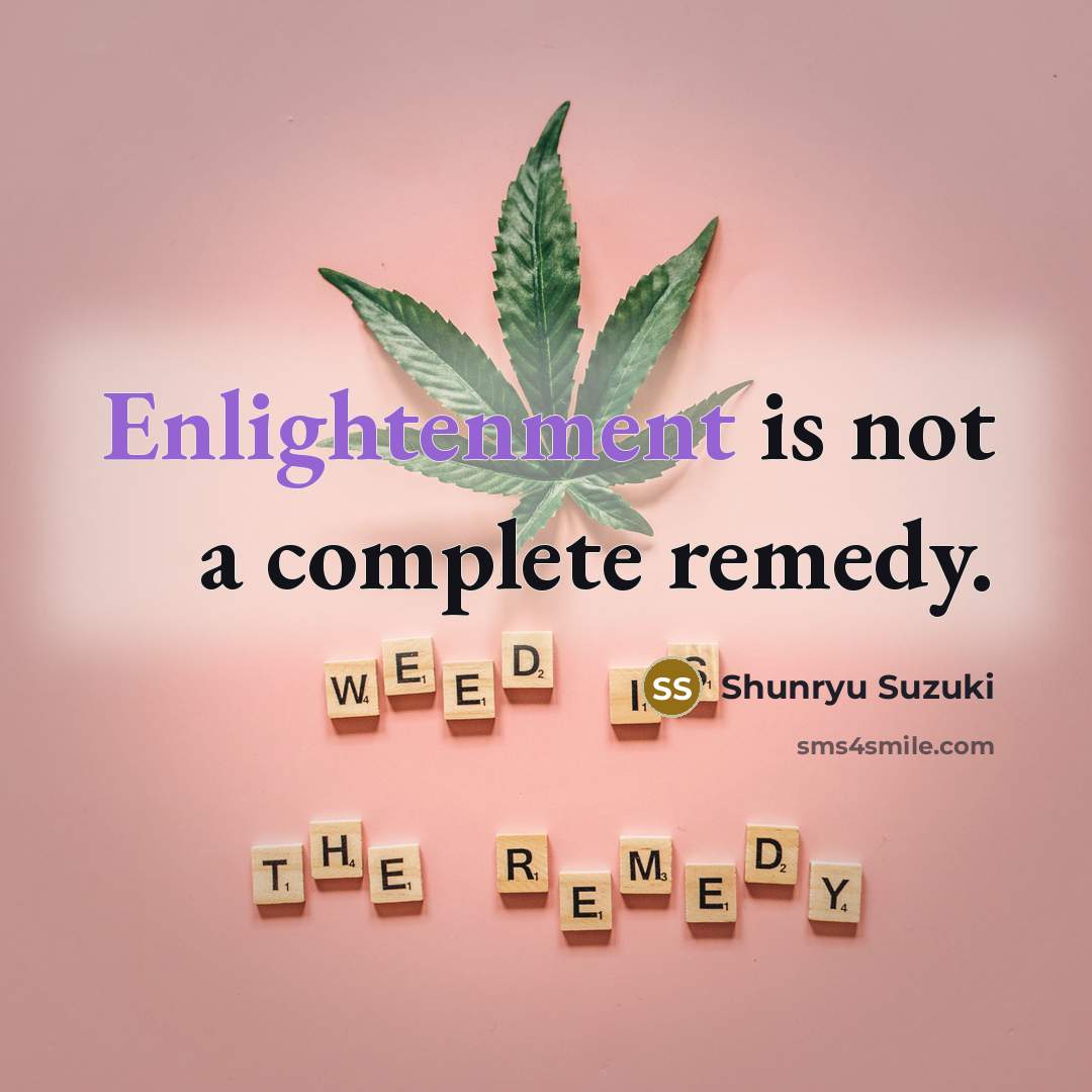 “Enlightenment is not a complete remedy.…” quote by Shunryu Suzuki