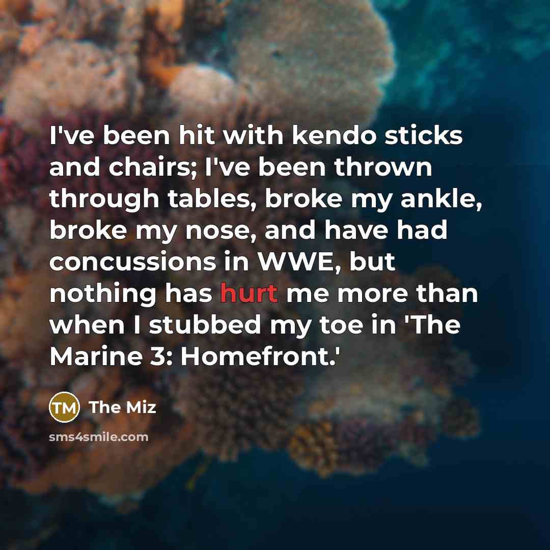 “I've been hit with kendo sticks and chairs; I've been…” quote by The Miz