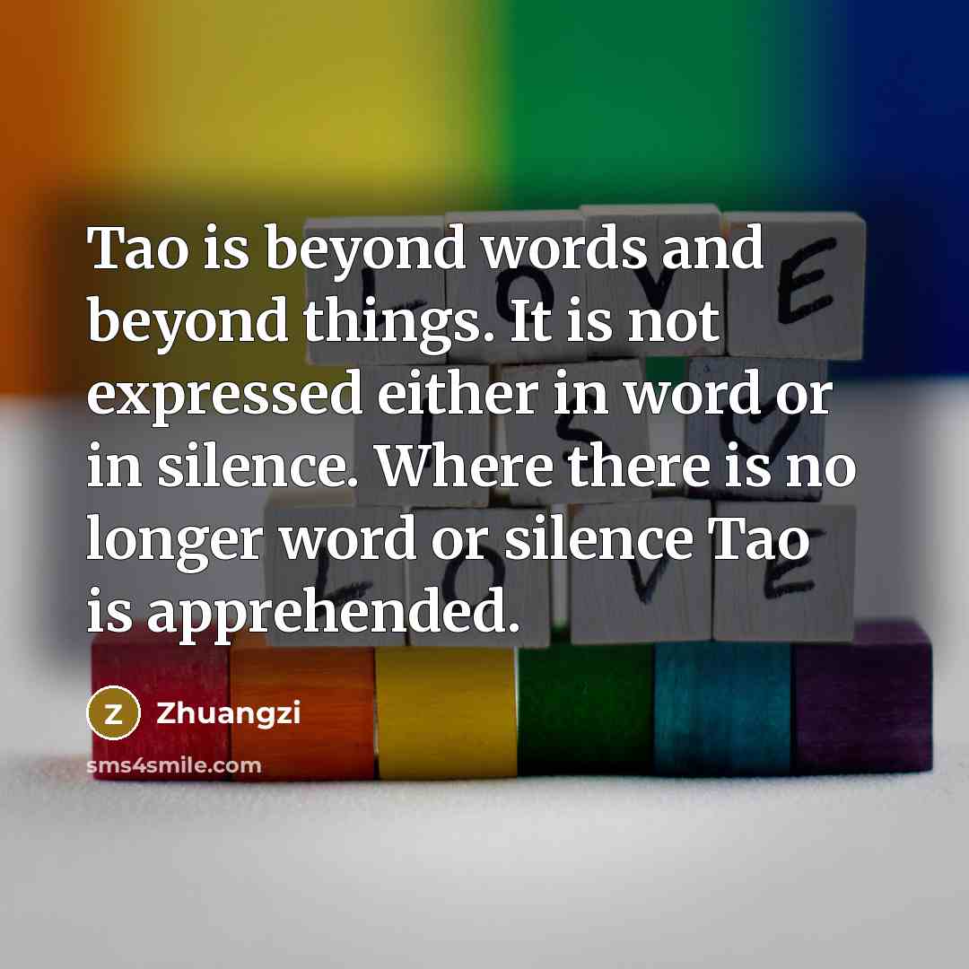 “Tao is beyond words and beyond things. It is not…” quote by Zhuangzi