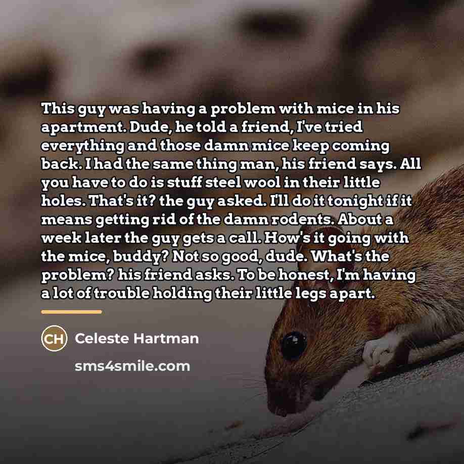 “This guy was having a problem with mice in his…” quote by Celeste Hartman