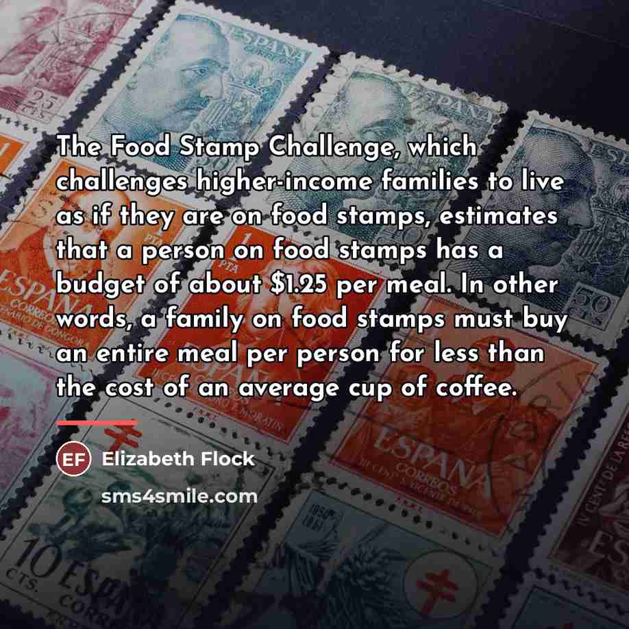 “The Food Stamp Challenge, which challenges higher-income families to live…” quote by Elizabeth Flock