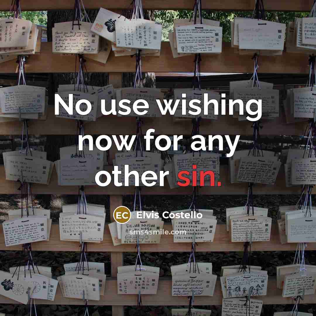 “No use wishing now for any other sin.…” quote by Elvis Costello