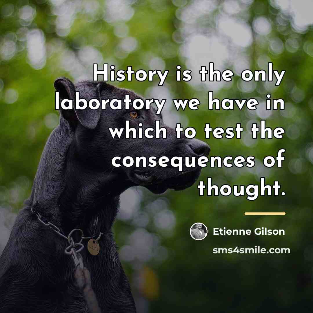 “History is the only laboratory we have in which to…” quote by Etienne Gilson