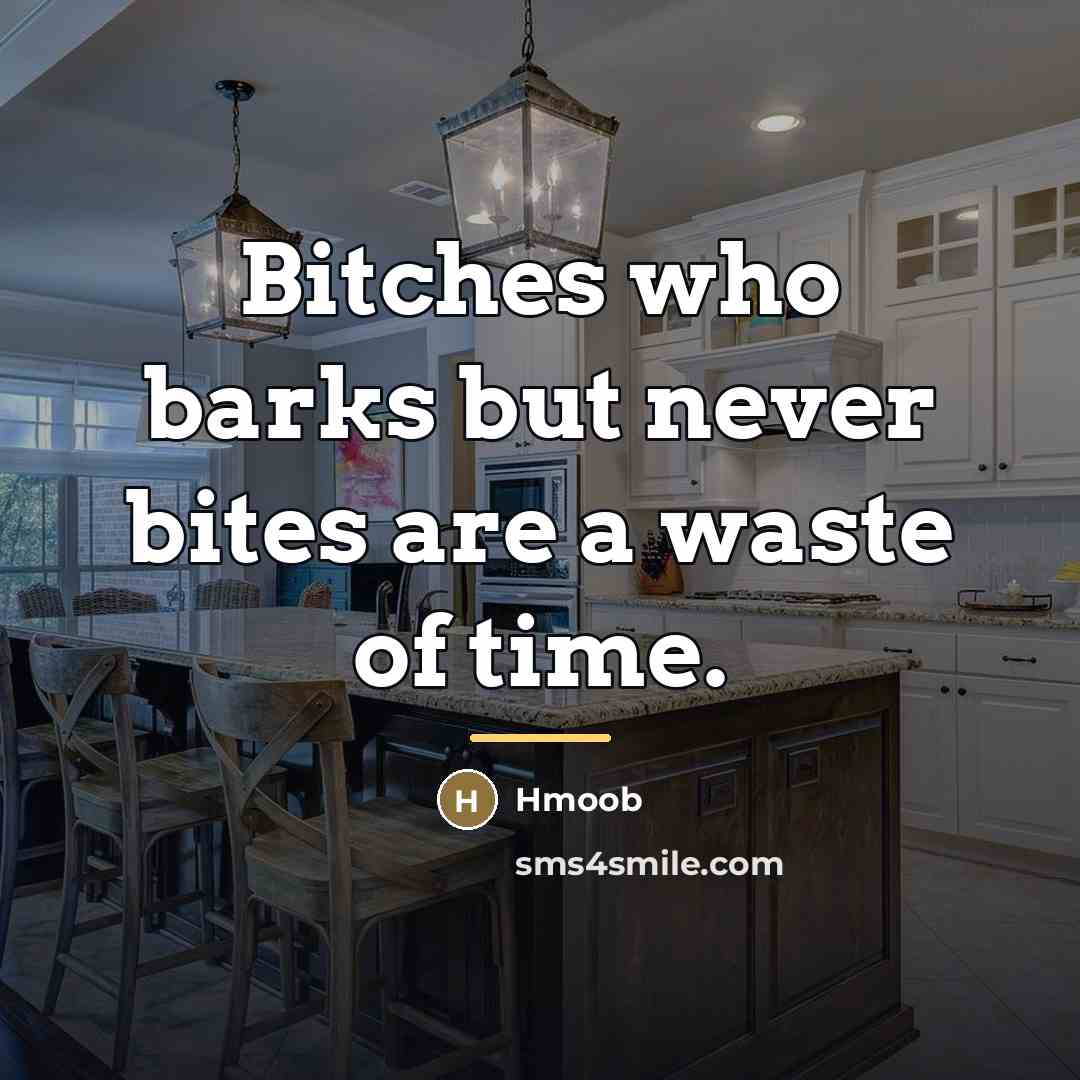 “Bitches who barks but never bites are a waste of…” quote by Hmoob