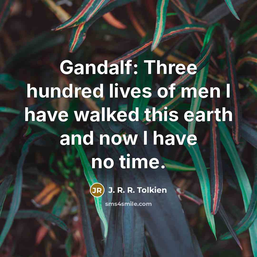 “Gandalf: Three hundred lives of men I have walked this…” quote by J. R. R. Tolkien