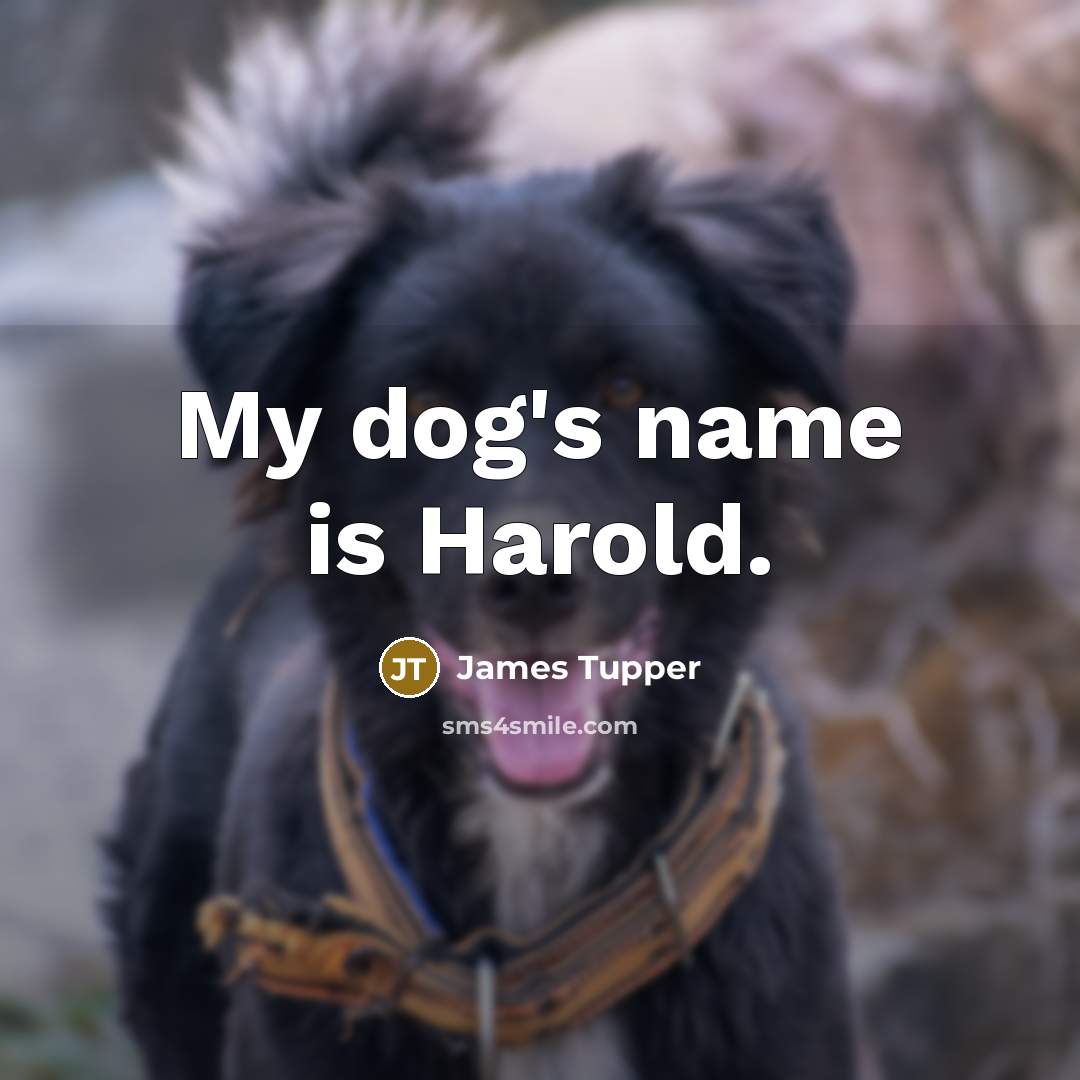 “My dog's name is Harold.…” quote by James Tupper
