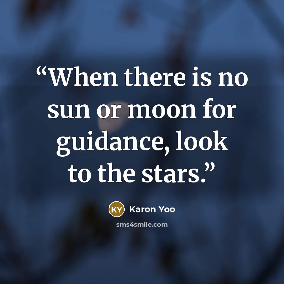 “When there is no sun or moon for guidance, look to the stars.” quote by Karon Yoo