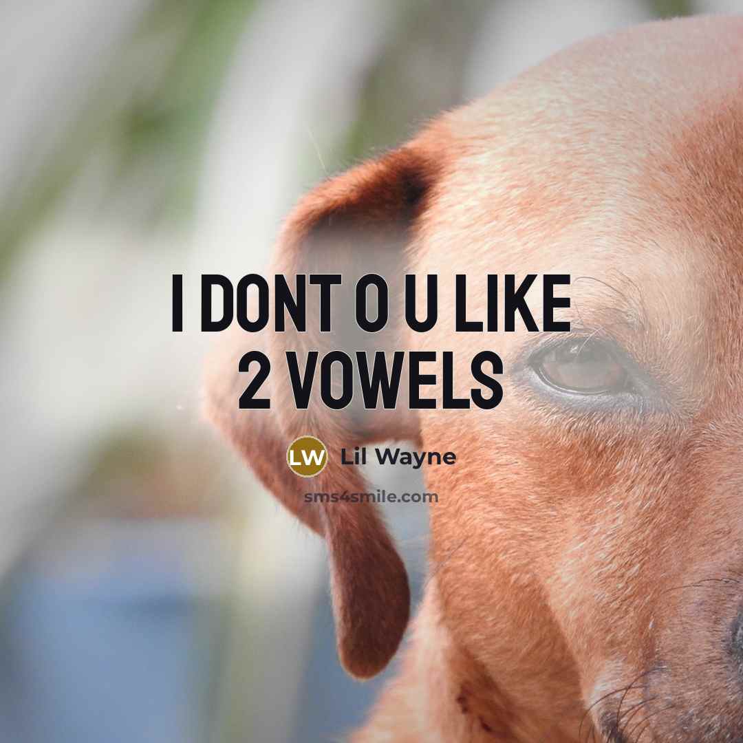 “I dont o u like 2 vowels” quote by Lil Wayne