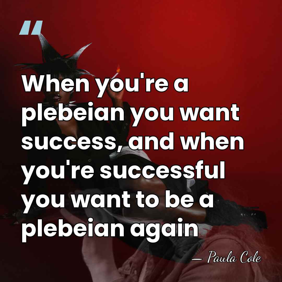 When you're a plebeian you want success, and when you're successful you&hellip; - Paula Cole