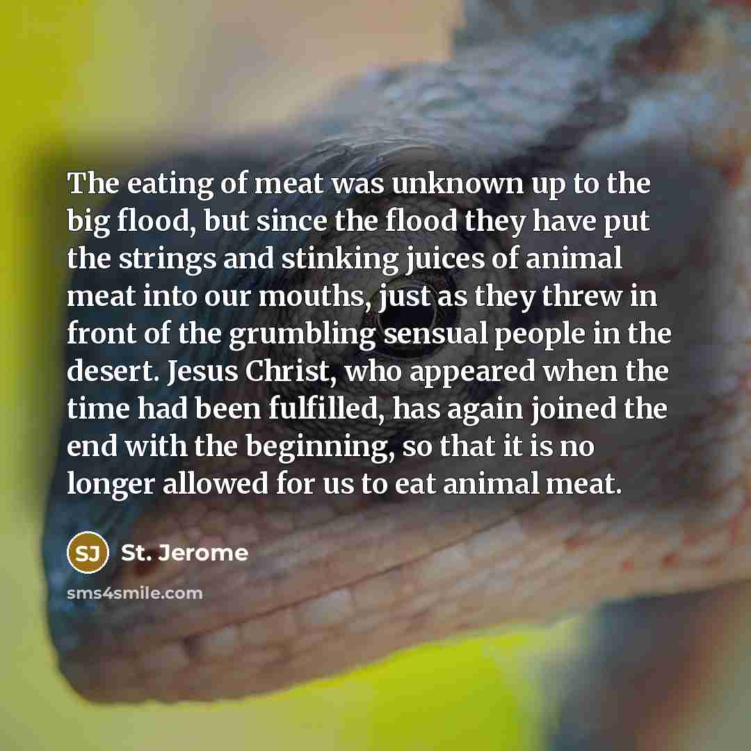 “The eating of meat was unknown up to the big…” quote by St. Jerome