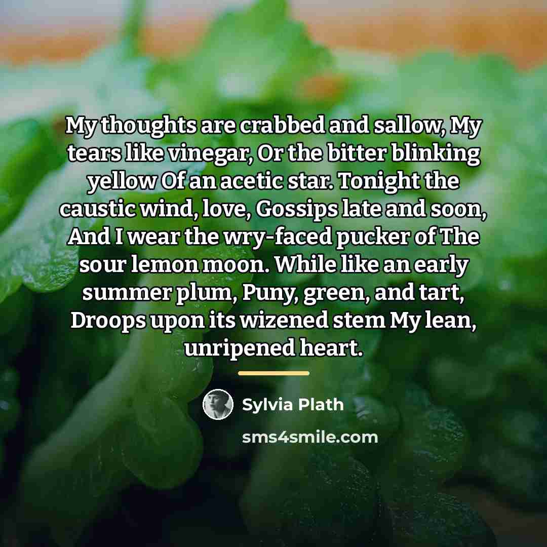 “My thoughts are crabbed and sallow, My tears like vinegar,…” quote by Sylvia Plath