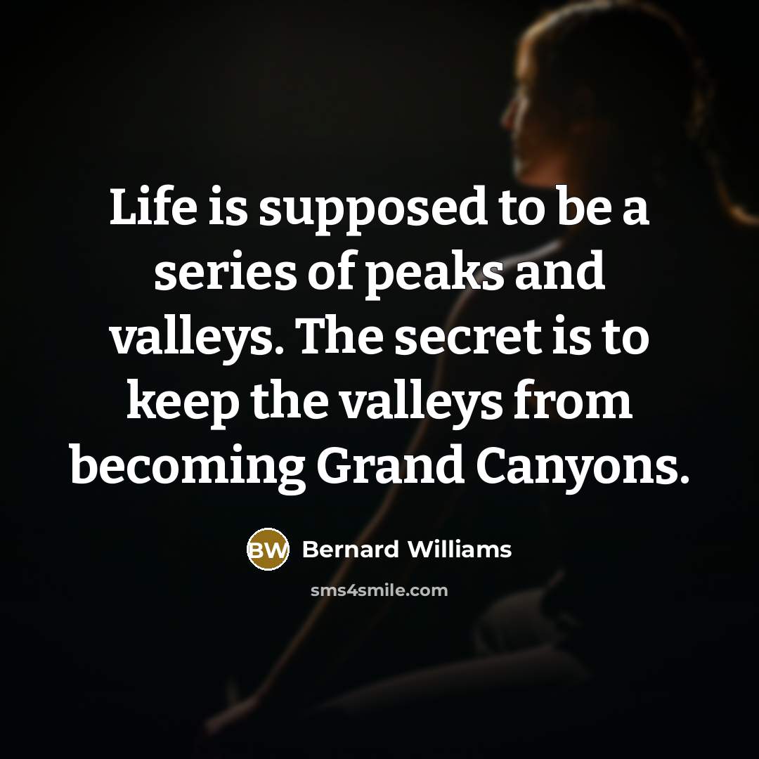 “Life is supposed to be a series of peaks and…” quote by Bernard Williams