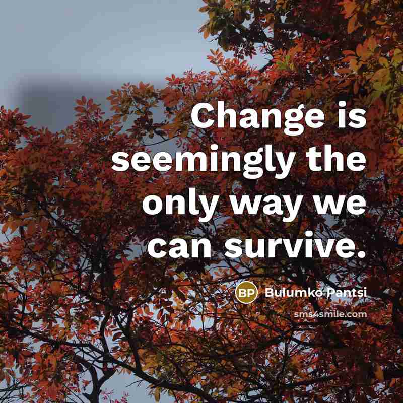 “Change is seemingly the only way we can survive.…” quote by Bulumko Pantsi