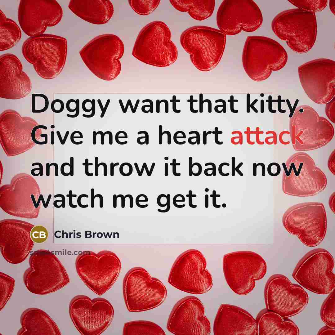 “Doggy want that kitty. Give me a heart attack and throw it back now watch me get it.” quote by Chris Brown