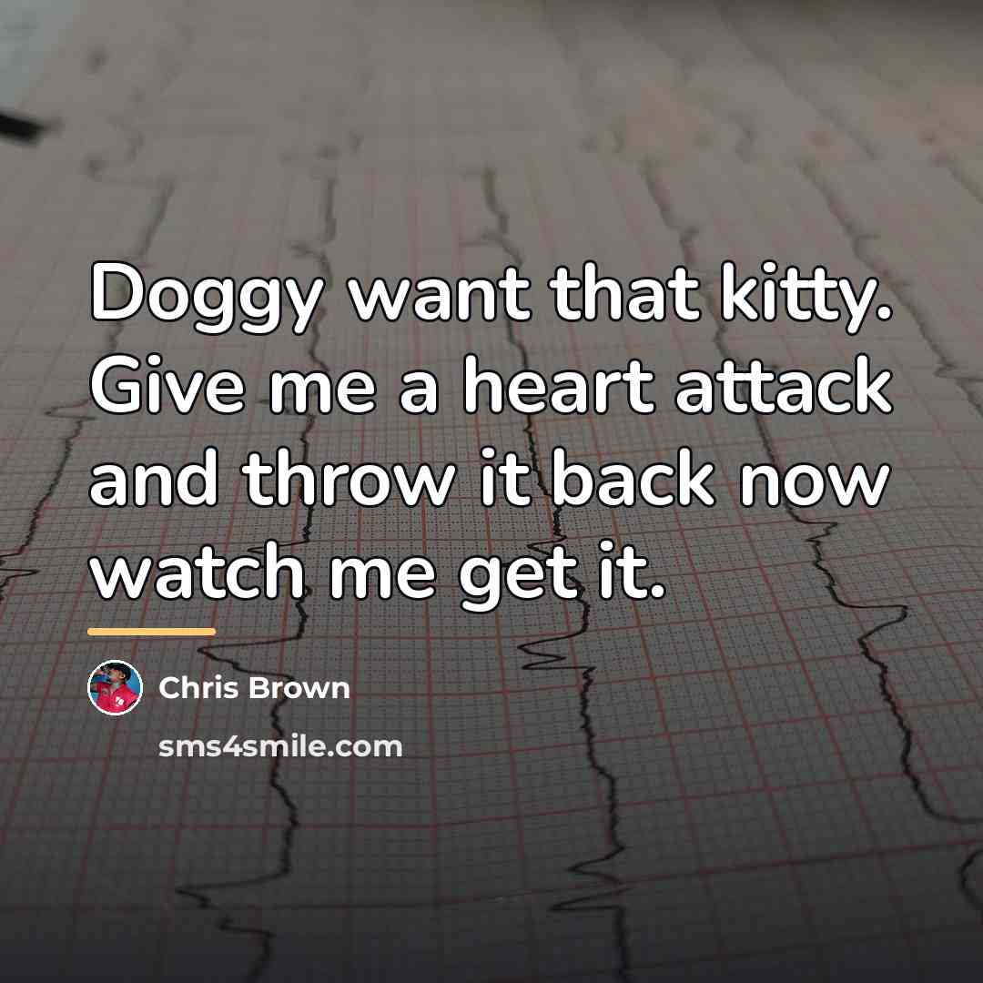 “Doggy want that kitty. Give me a heart attack and…” quote by Chris Brown
