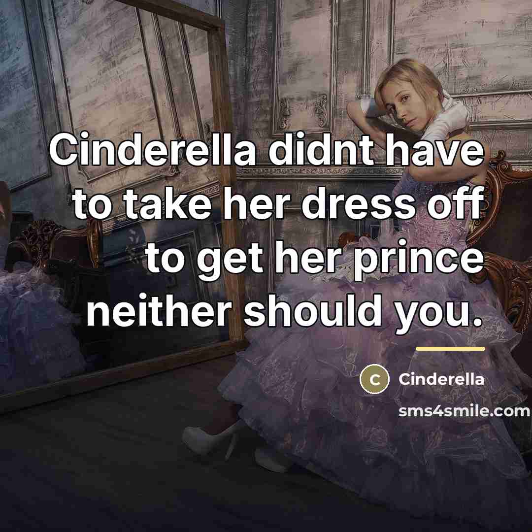 “Cinderella didnt have to take her dress off to get…” quote by Cinderella