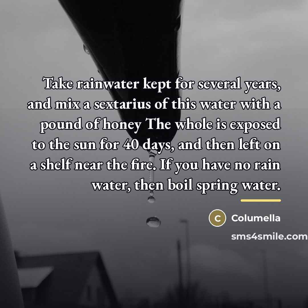 “Take rainwater kept for several years, and mix a sextarius…” quote by Columella