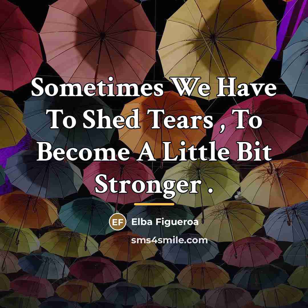 “Sometimes We Have To Shed Tears , To Become A…” quote by Elba Figueroa