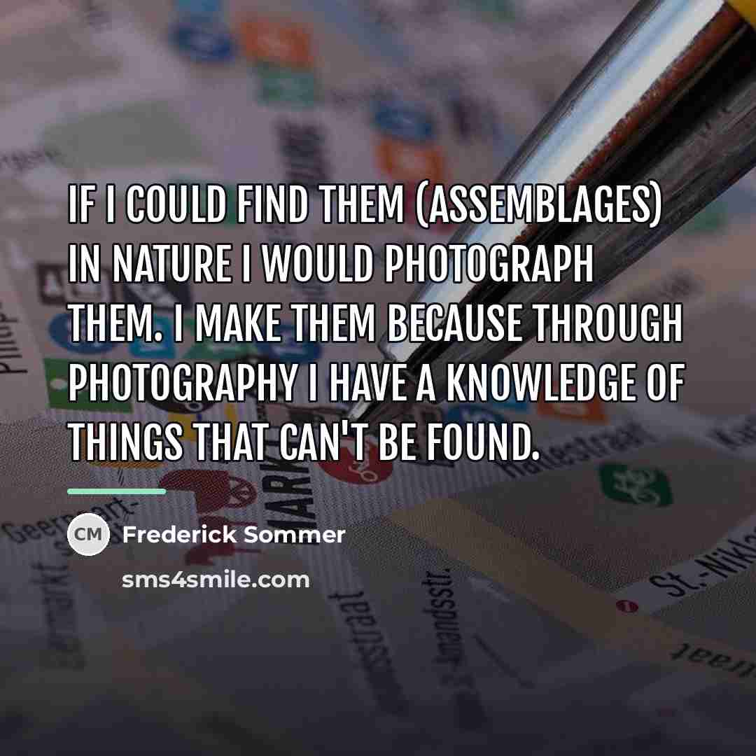 “If I could find them (assemblages) in nature I would…” quote by Frederick Sommer