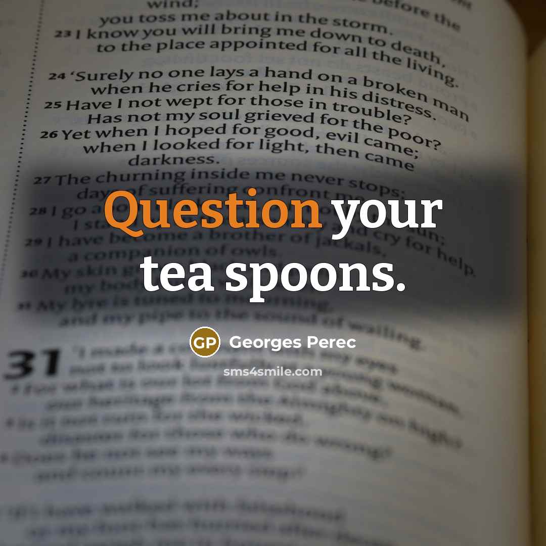 “Question your tea spoons.” quote by Georges Perec