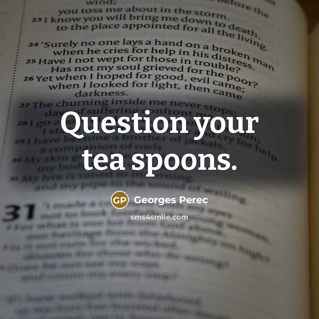“Question your tea spoons.…” quote by Georges Perec