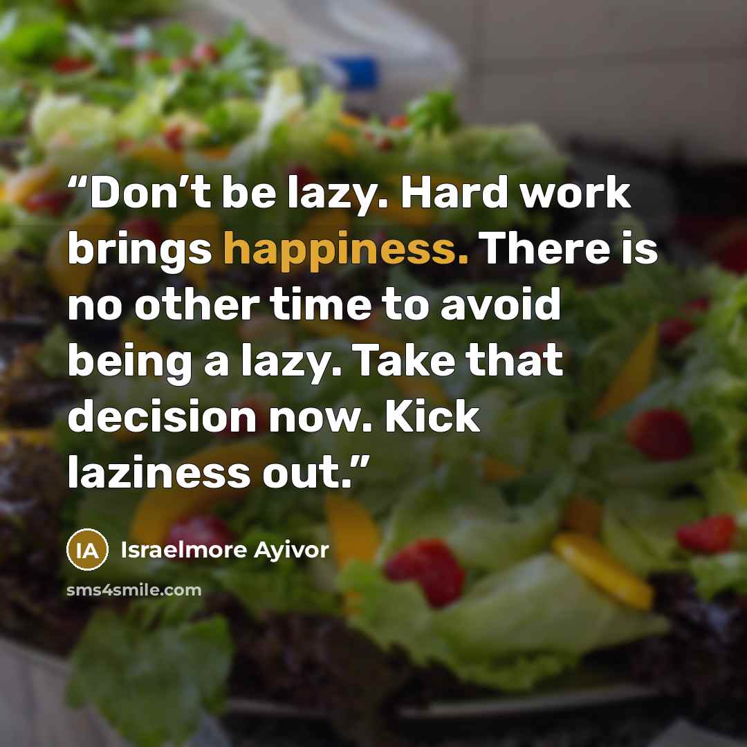 “Don’t be lazy. Hard work brings happiness. There is no other time to avoid being a lazy. Take that decision now. Kick laziness out.” quote by Israelmore Ayivor