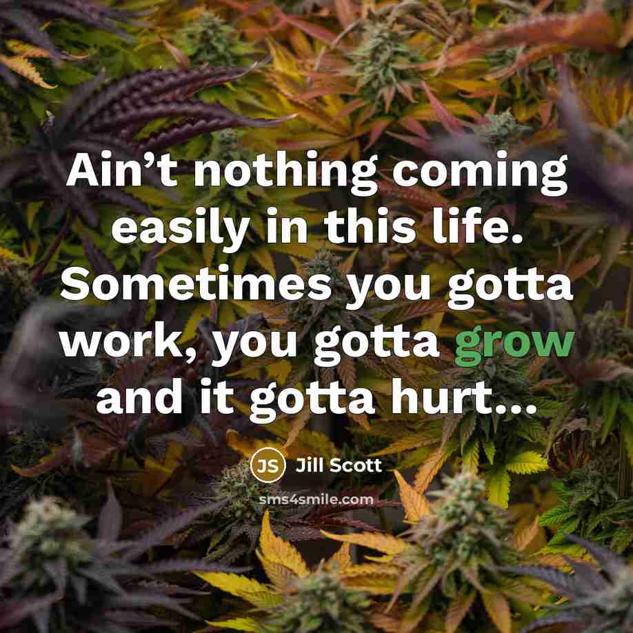 “Ain’t nothing coming easily in this life. Sometimes you gotta…” quote by Jill Scott