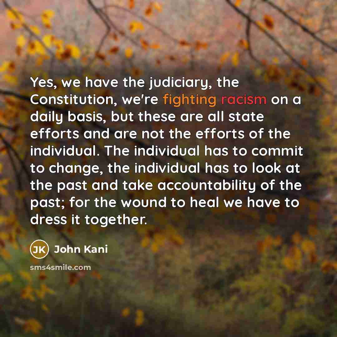 “Yes, we have the judiciary, the Constitution, we're fighting racism…” quote by John Kani