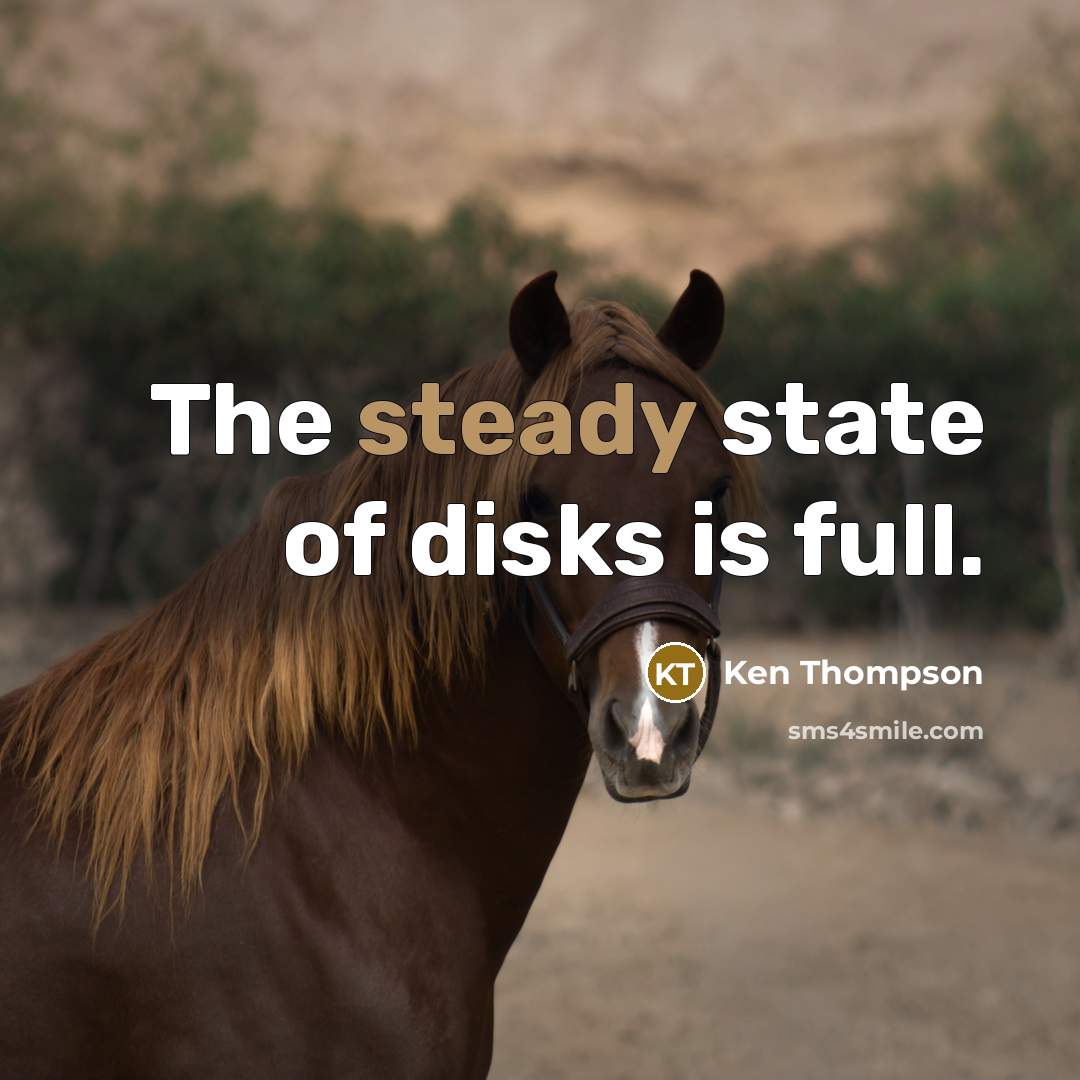 “The steady state of disks is full.…” quote by Ken Thompson