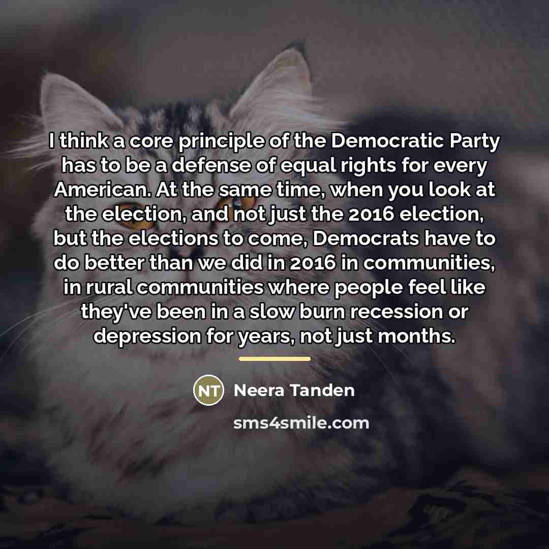 “I think a core principle of the Democratic Party has…” quote by Neera Tanden