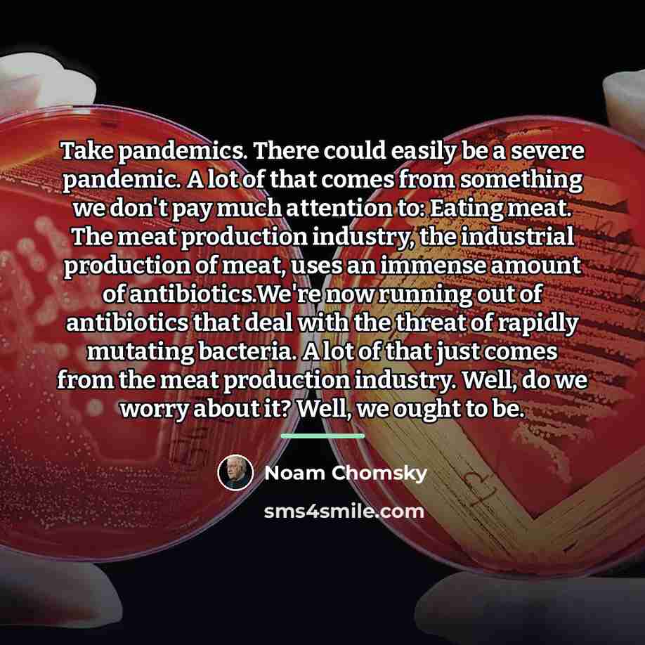 “Take pandemics. There could easily be a severe pandemic. A…” quote by Noam Chomsky
