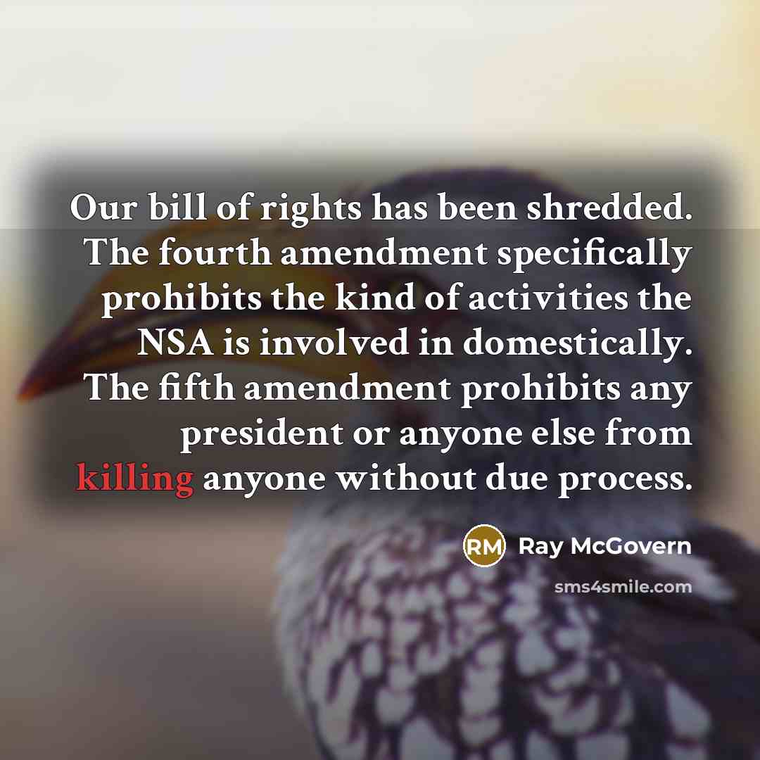 “Our bill of rights has been shredded. The fourth amendment…” quote by Ray McGovern