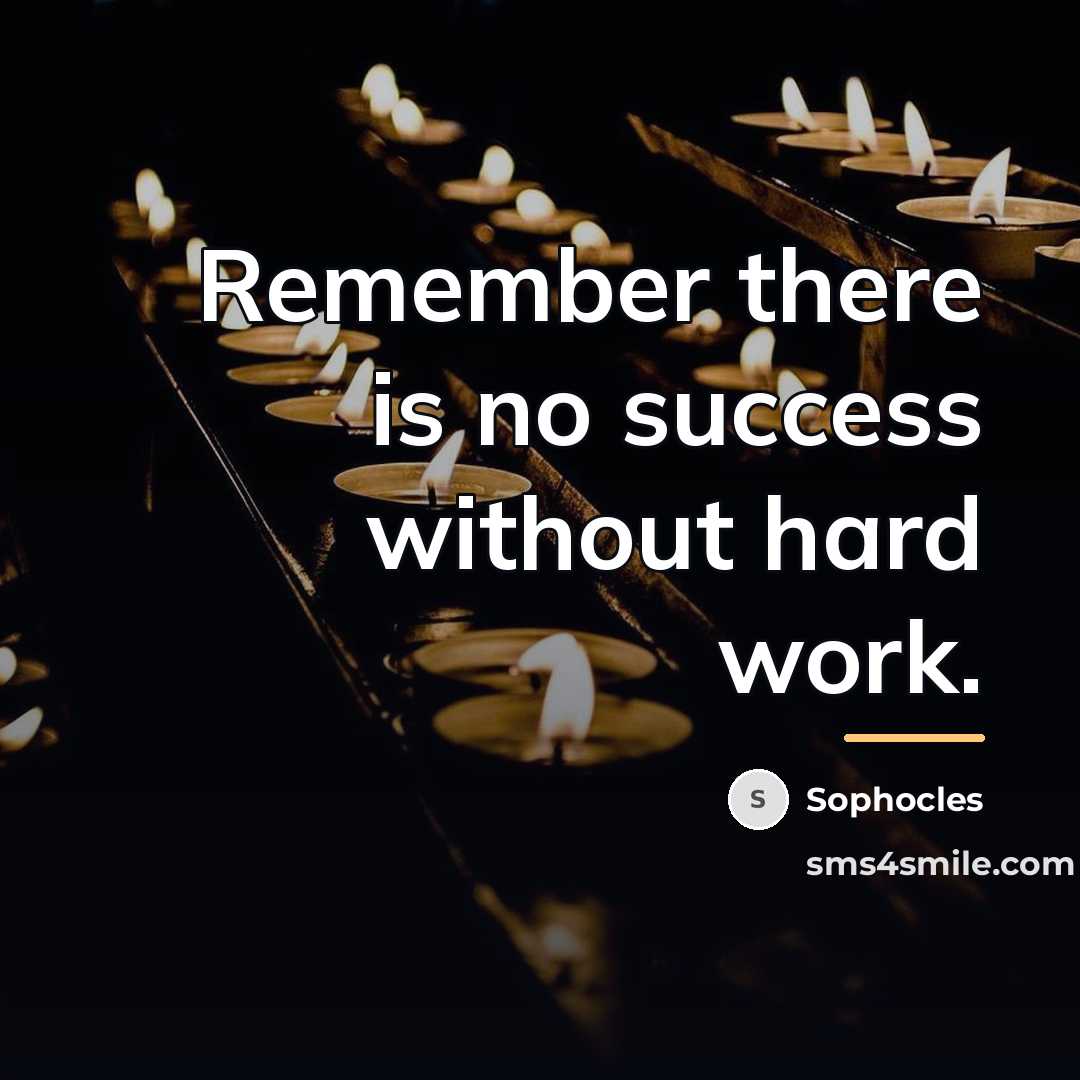 “Remember there is no success without hard work.…” quote by Sophocles