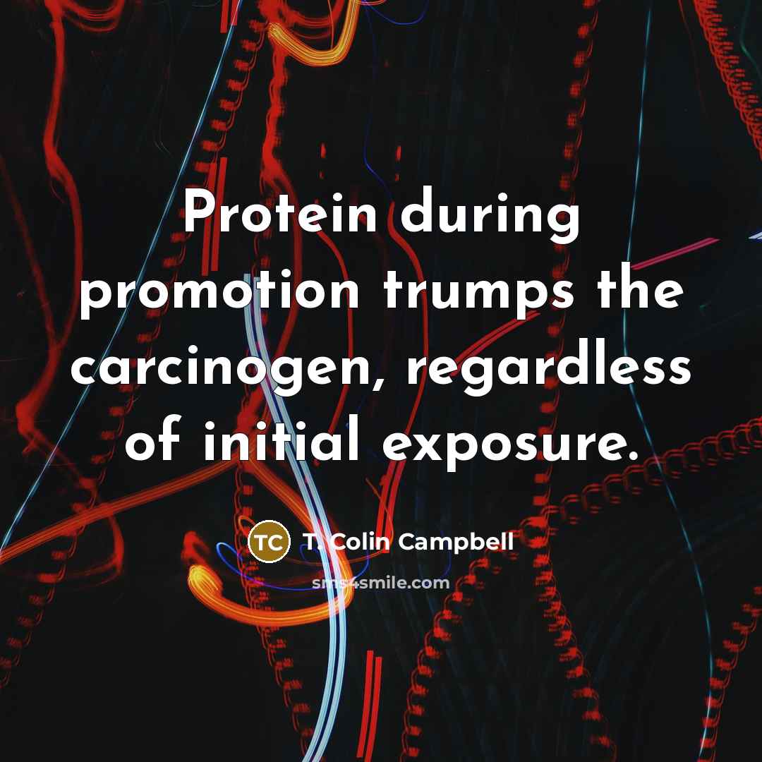 “Protein during promotion trumps the carcinogen, regardless of initial exposure.…” quote by T. Colin Campbell