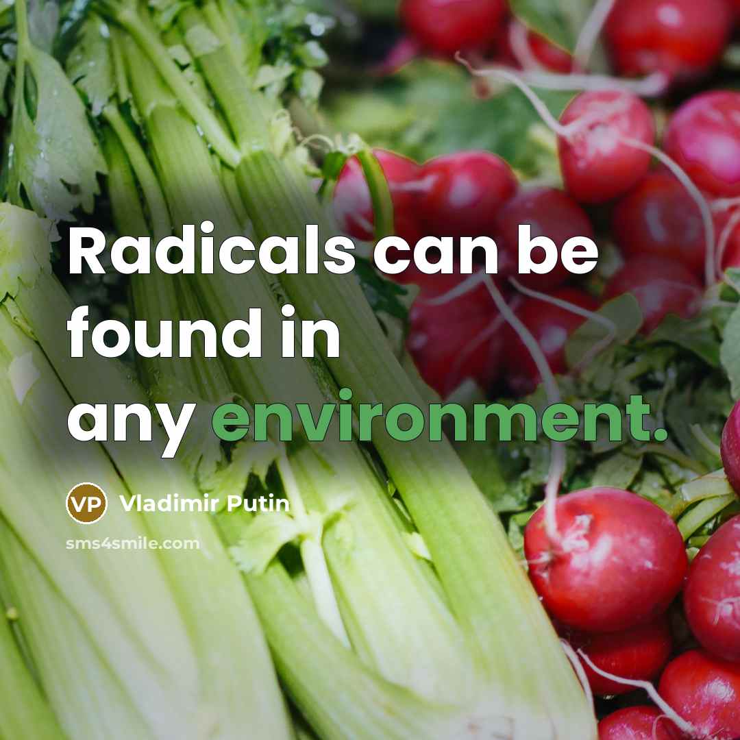 “Radicals can be found in any environment.…” quote by Vladimir Putin