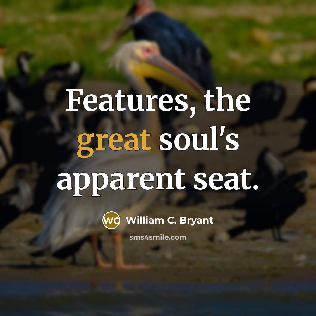 “Features, the great soul's apparent seat.…” quote by William C. Bryant