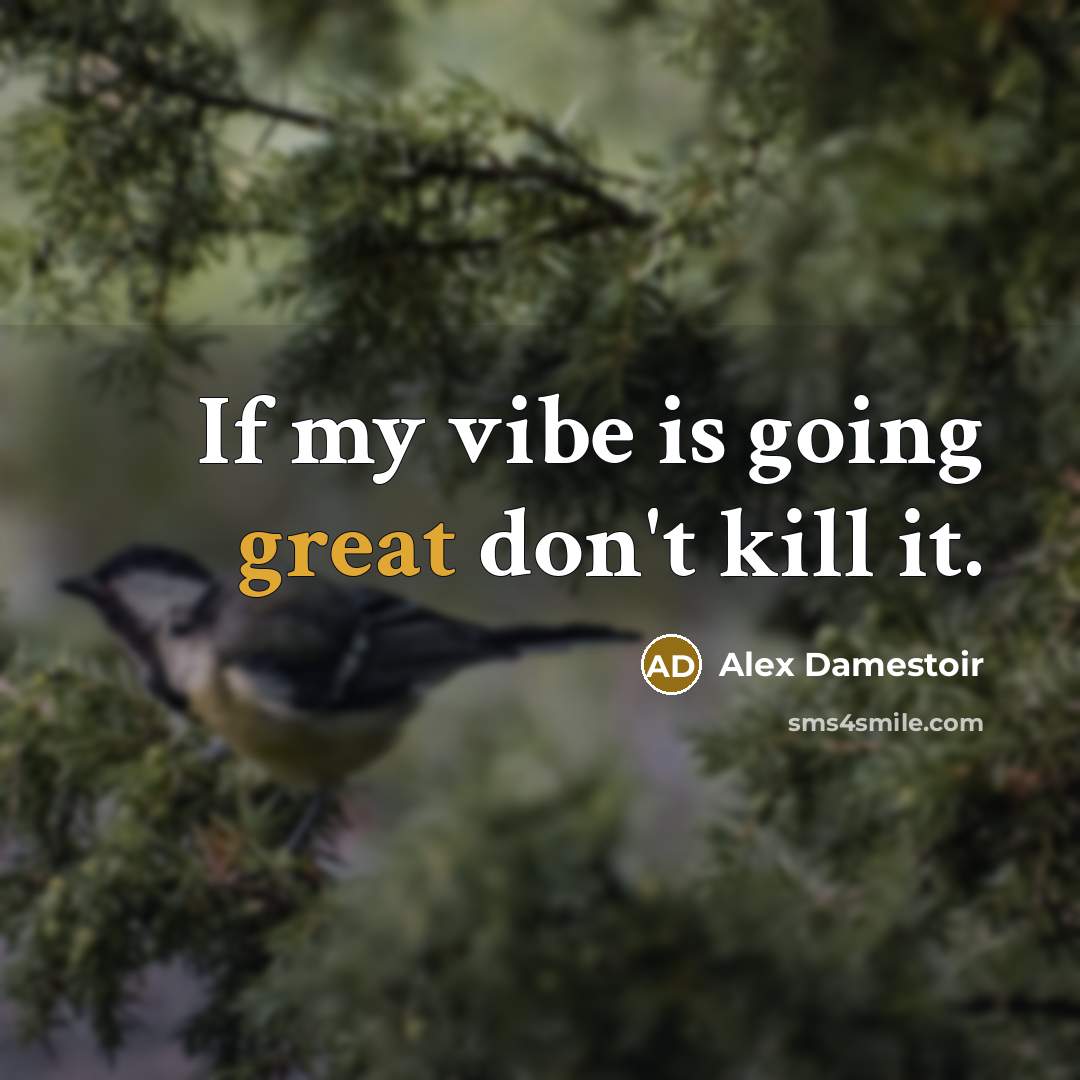 “If my vibe is going great don't kill it.…” quote by Alex Damestoir