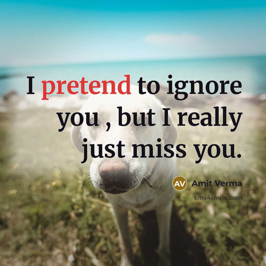 “I pretend to ignore you , but I really just…” quote by Amit Verma