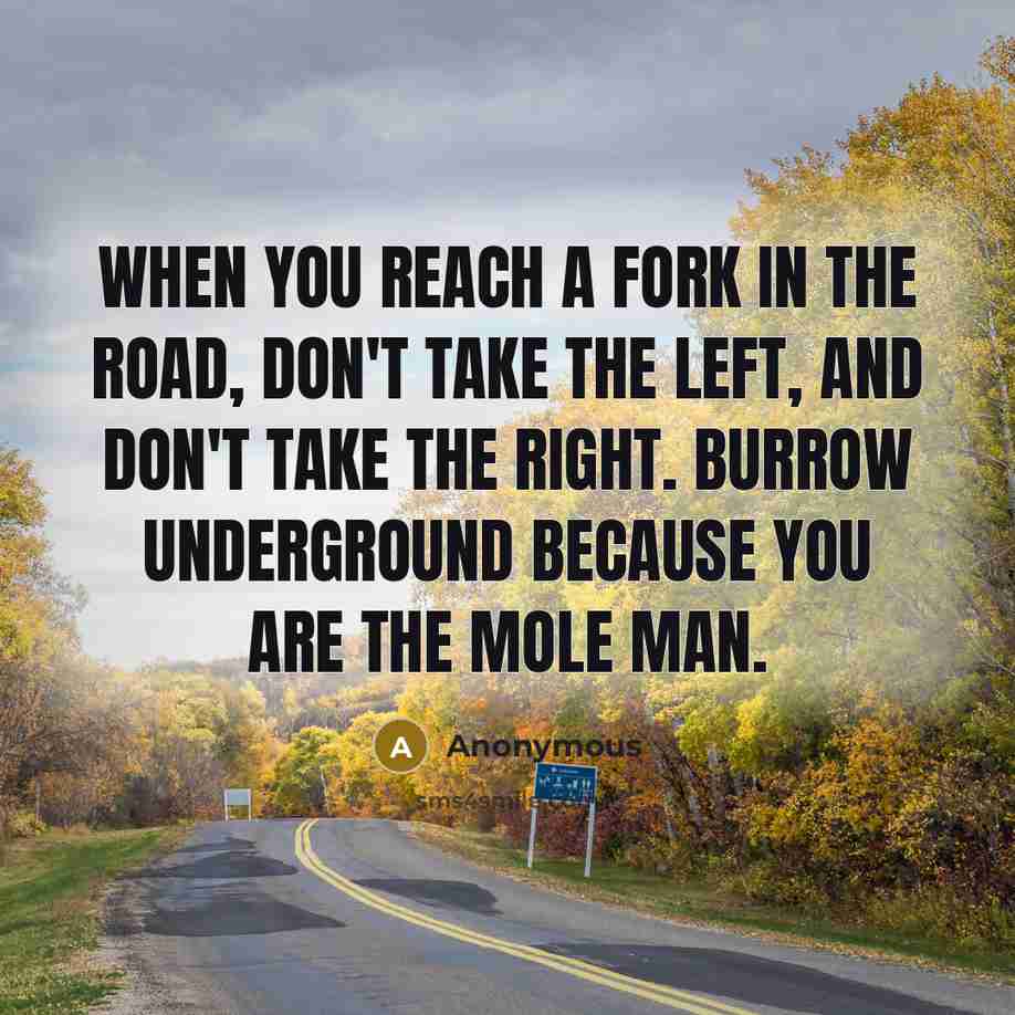 “When you reach a fork in the road, don't take…” quote by Anonymous