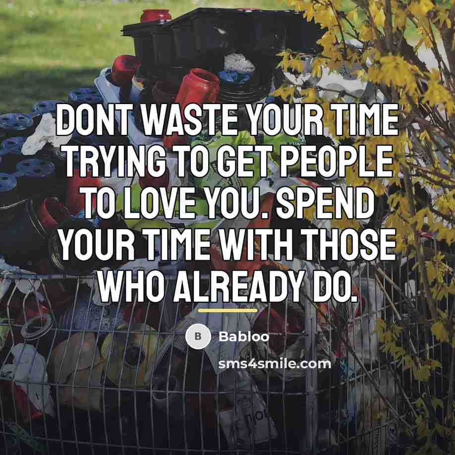 “Dont waste your time trying to get people to love…” quote by Babloo