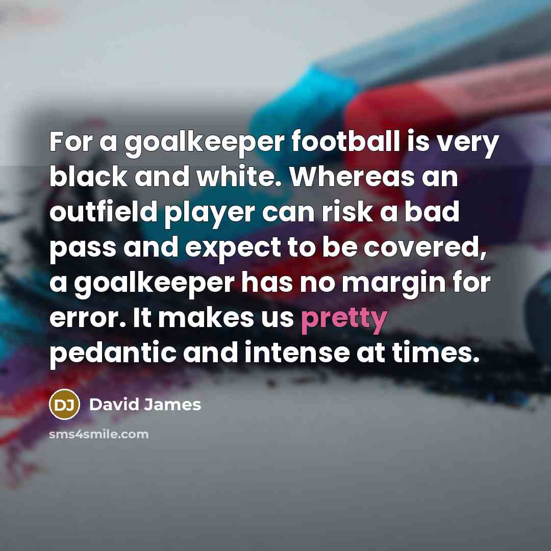 “For a goalkeeper football is very black and white. Whereas…” quote by David James