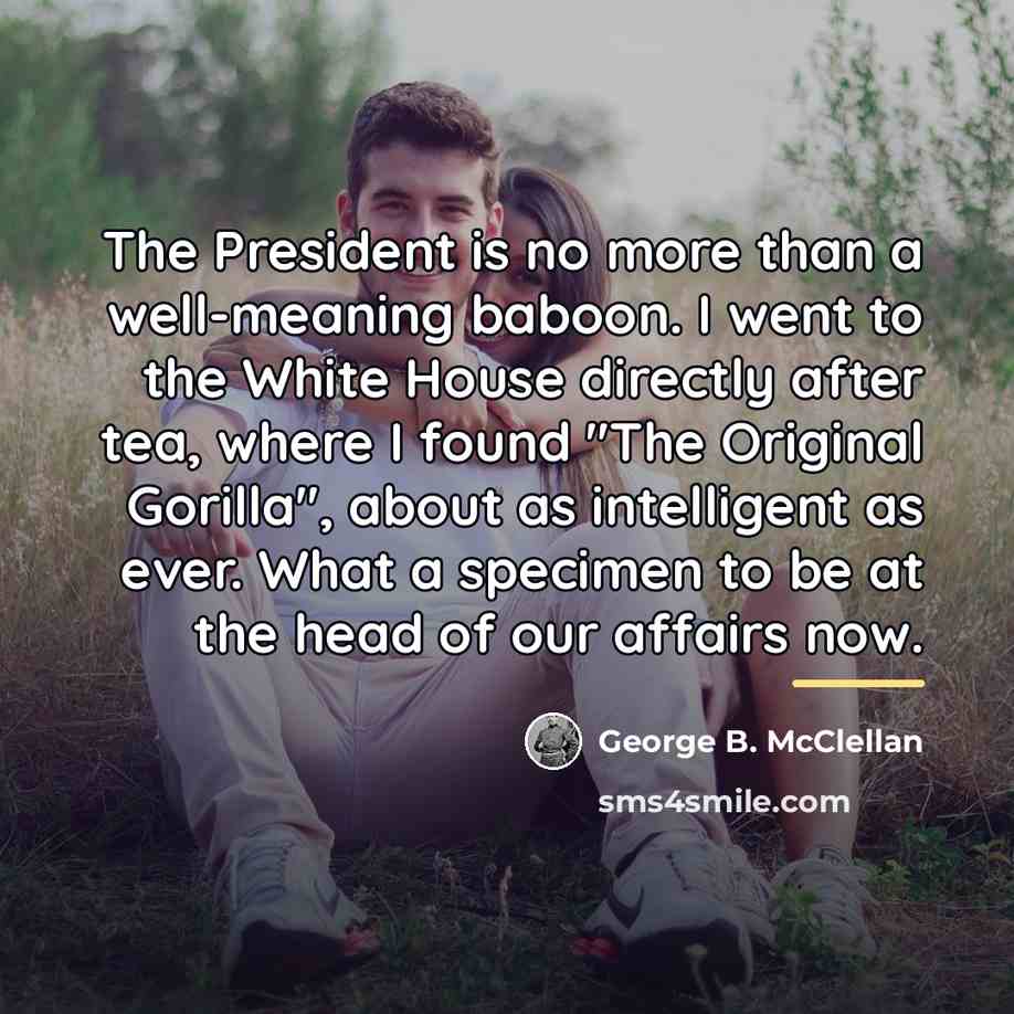 “The President is no more than a well-meaning baboon. I…” quote by George B. McClellan