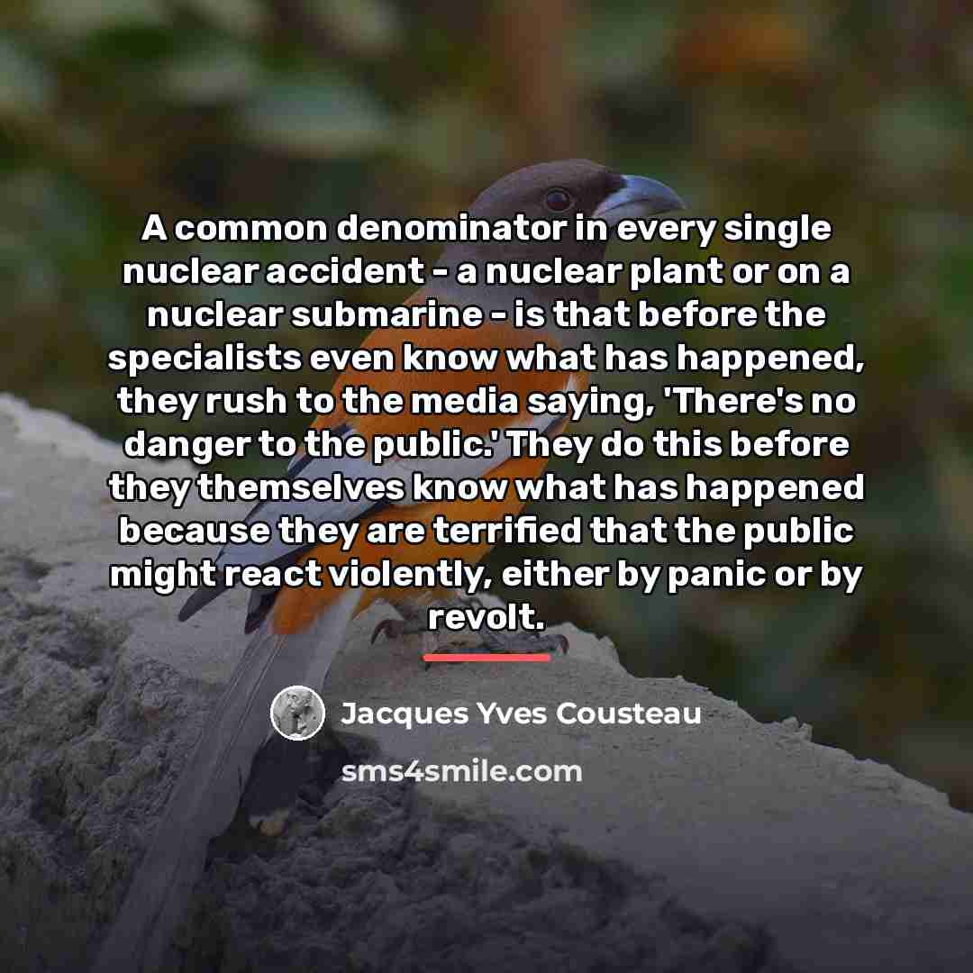 “A common denominator in every single nuclear accident - a…” quote by Jacques Yves Cousteau