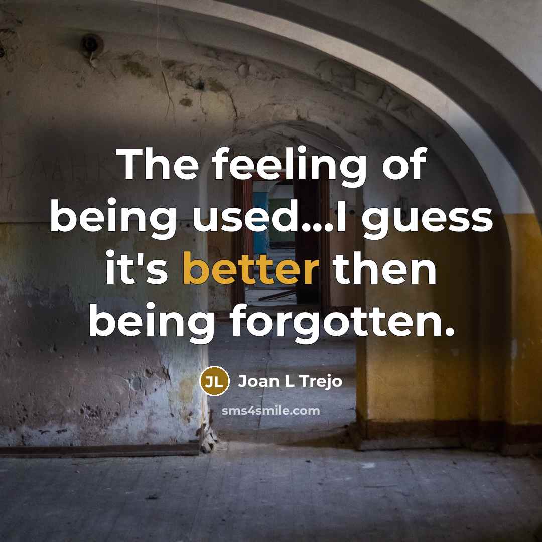 “The feeling of being used...I guess it's better then being forgotten.” quote by Joan L Trejo