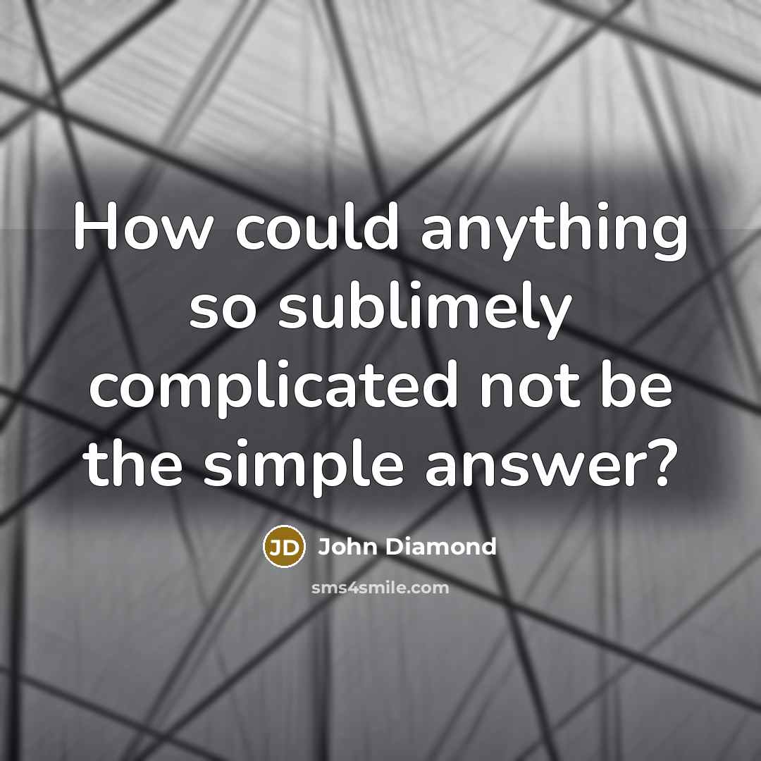 “How could anything so sublimely complicated not be the simple…” quote by John Diamond