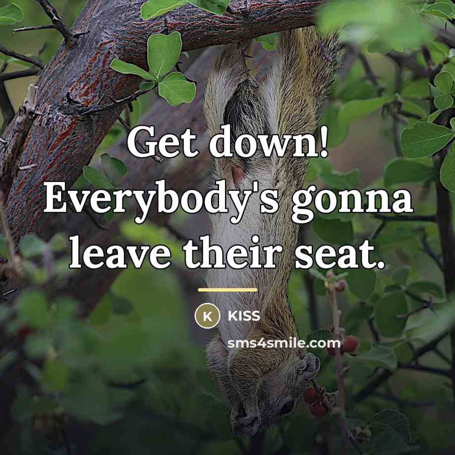 “Get down! Everybody's gonna leave their seat.…” quote by Kiss