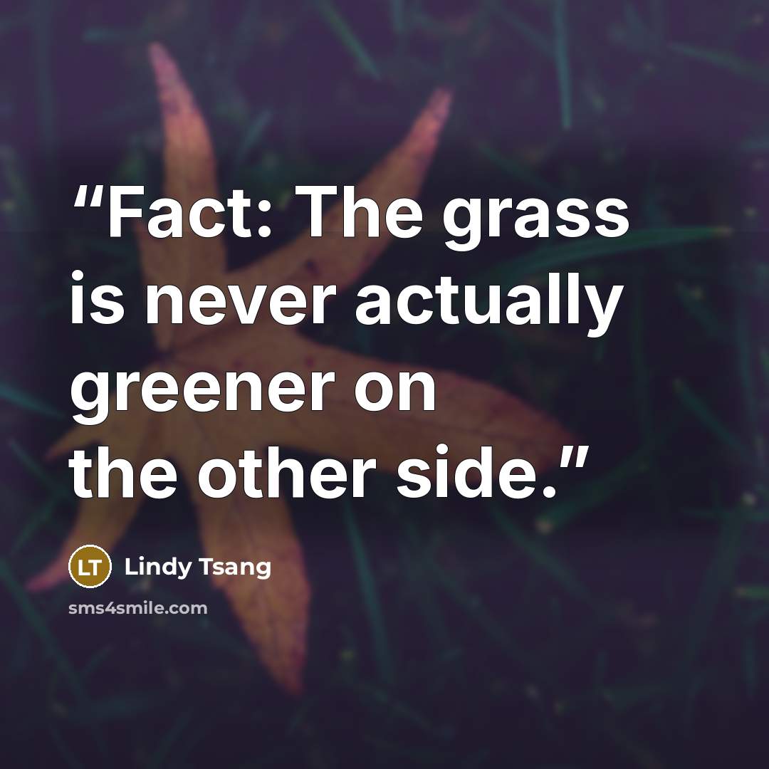“Fact: The grass is never actually greener on the other side.” quote by Lindy Tsang